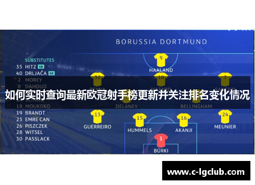 如何实时查询最新欧冠射手榜更新并关注排名变化情况